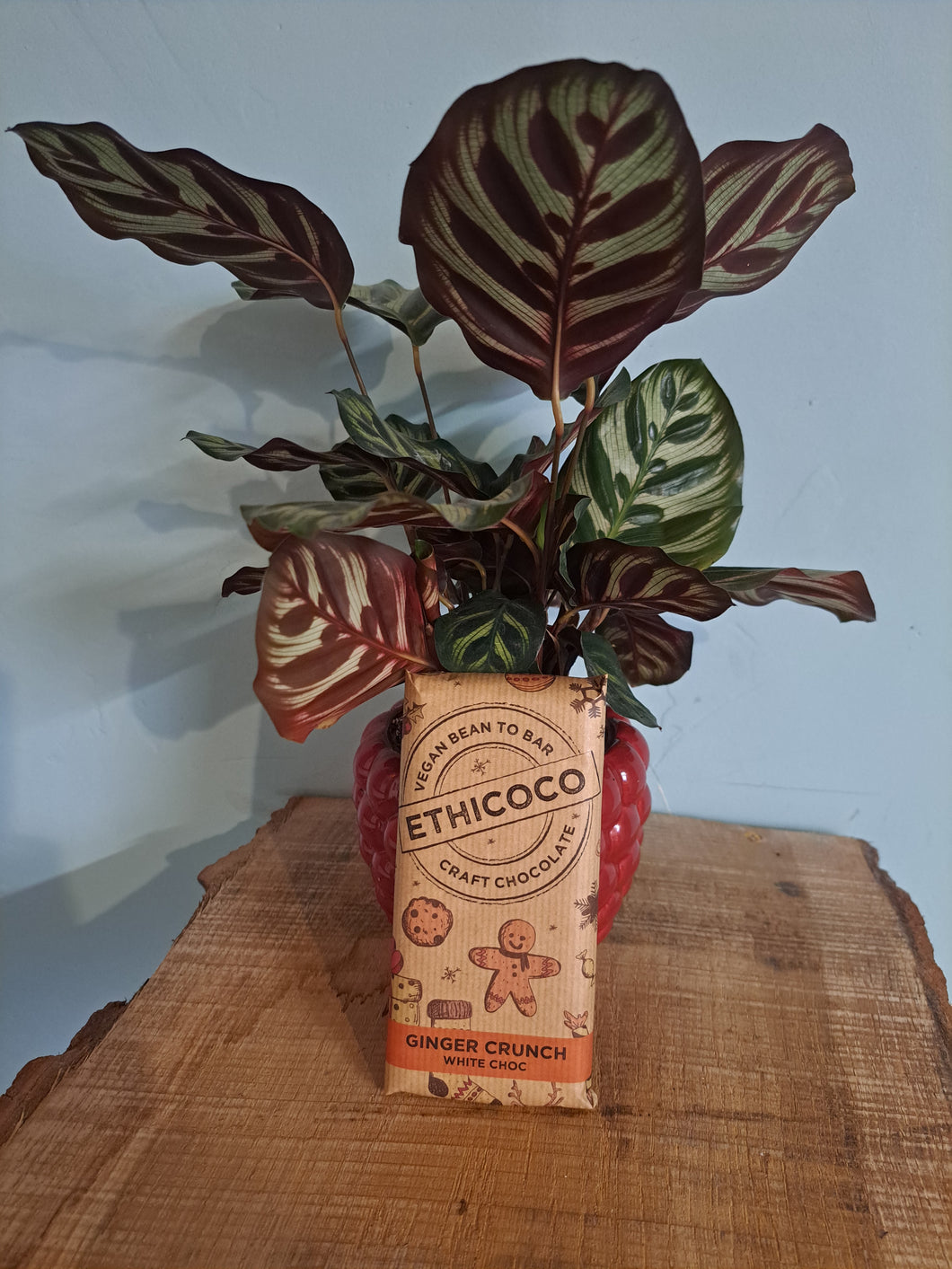 Ginger Crunch! White chocolate with ginger biscuit pieces